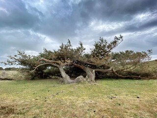 Vakantiehuis Udsholt Strand  9