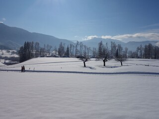 Appartamento per vacanze Egg in Vorarlberg Ambiente 34