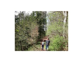 Vakantieappartement Egg in Vorarlberg Omgeving 25