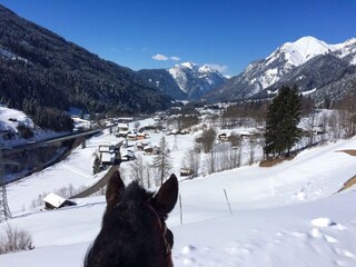 Ausritt Alte Bahn, oberhalb vom Klostertal