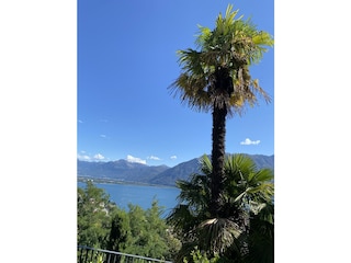 Ferienwohnung Locarno-Muralto Außenaufnahme 11