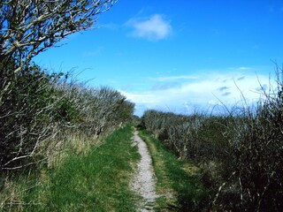 Appartamento per vacanze Juist Ambiente 13