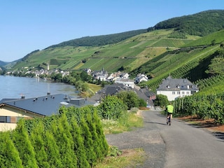 Eingebettet in die Weinberge