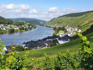 Die Villa liegt romantisch in die Weinberge eingebettet