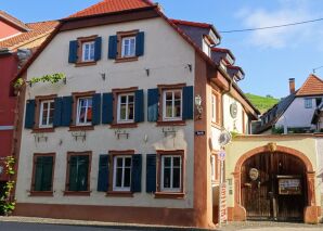 Maison de vacances Küferhof Haupthaus - Saint-Martin dans le Palatinat - image1