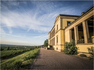 Vakantiehuis St. Martin in der Pfalz Omgeving 17