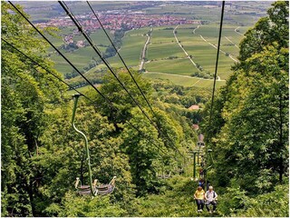 Vakantiehuis St. Martin in der Pfalz Omgeving 21