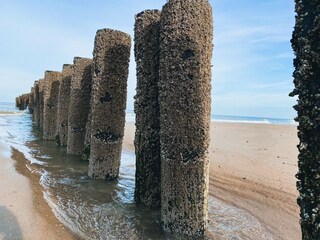 Casa per le vacanze Westkapelle Ambiente 19