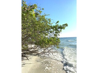 Vakantiehuis Cape Coral Omgeving 32