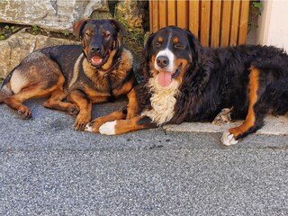 Appartamento per vacanze Rauris Registrazione all'aperto 8