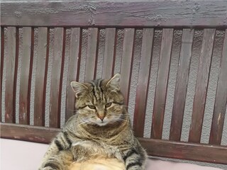 Vakantieappartement Rauris Buitenaudio-opname 9