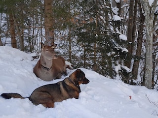 Holiday apartment Rauris Environment 39