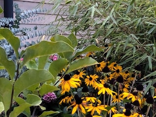 Ferienhaus Stockheim (Oberfranken) Außenaufnahme 5