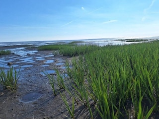 Casa per le vacanze Esbjerg  12