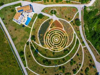 birds view garden