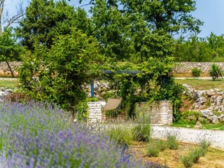 Villa Marčana Ambiente 43