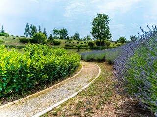 jogging path