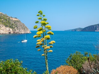 Villa Kothreas Ambiente 15