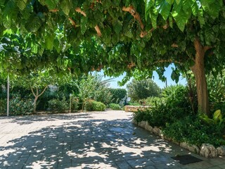 Villa Skouloufia Environnement 32