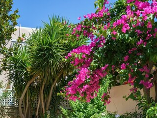 Villa Skouloufia Environment 35