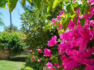 Villa Skouloufia Umgebung 38