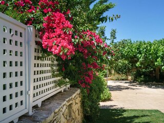 Villa Skouloufia Ambiente 39