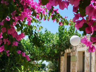 Villa Skouloufia Environment 41