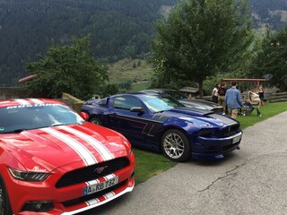 IMG_1944