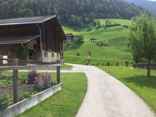 IMG_7295