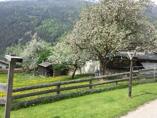 IMG_7292
