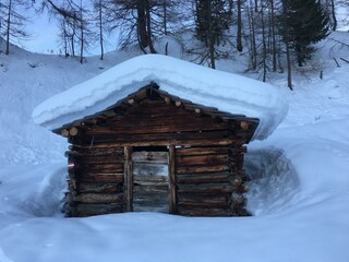 IMG_0334