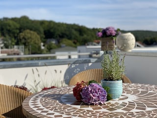 was für eine traumhafte Sonnen-Terrasse