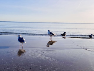 Zeit für traumhafte Strandspaziergänge