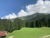 Blick auf den Fellhorngrat und Waldrand