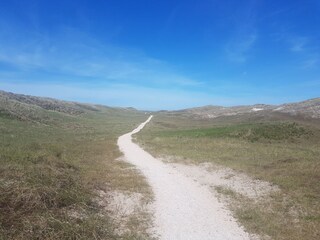 Appartamento per vacanze Julianadorp Ambiente 23