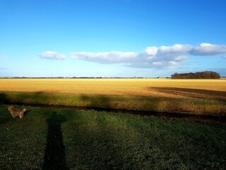 Appartamento per vacanze Julianadorp Ambiente 26