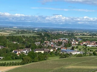 Appartamento per vacanze Sulzburg Ambiente 20