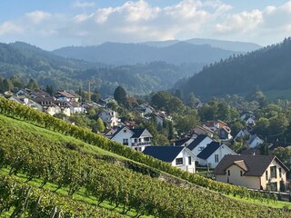 Appartamento per vacanze Sulzburg Registrazione all'aperto 4