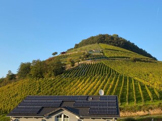 Appartamento per vacanze Sulzburg Ambiente 22