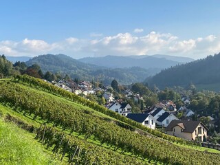 Appartamento per vacanze Sulzburg Ambiente 23