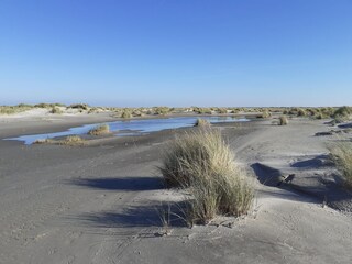 Appartamento per vacanze Hollum Ambiente 28