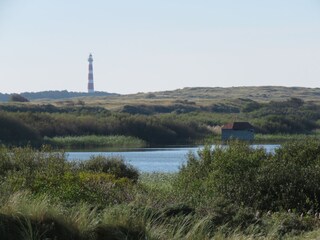 Appartamento per vacanze Hollum Ambiente 29