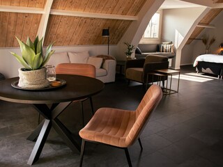 Vakantieappartement Hollum Kenmerken 3