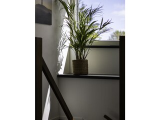 Appartamento per vacanze Hollum Caratteristiche 21