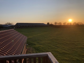 Abendliche Stimmung vom Balkon