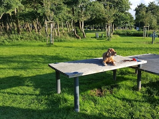 Kurpark
