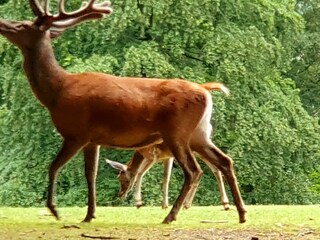 Casa per le vacanze Brieden Ambiente 31
