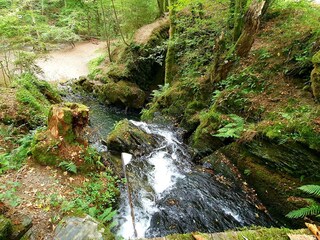 Radtour vorbei an der "Rausch" - Endertal