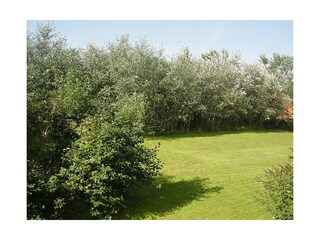 Wiese hinter dem Schlafzimmer