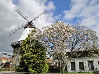 Casa de vacaciones Kappeln (Stadt) Grabación al aire libre 6